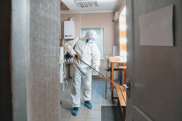 Mold Odor Removal Services in Mississippi State, MS